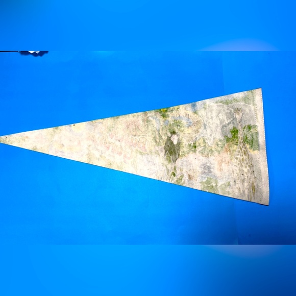 BUSCH GARDENS VINTAGE 90’s TAMPA FLORIDA COLLECTIBLE SOUVENIR PENNANT FL… - Picture 16 of 16